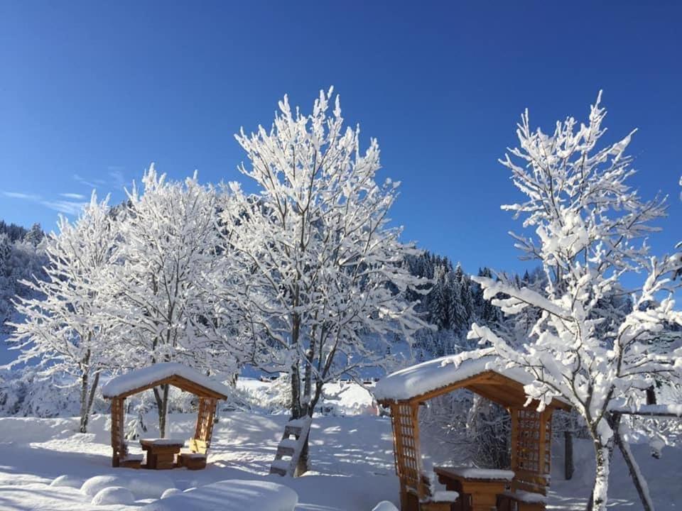 Apartman - Sobe Tiha Luka, Bjelasnica Luaran gambar